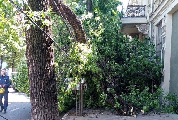 Поваленные шквалистым ветром деревья убрали в Краснодаре