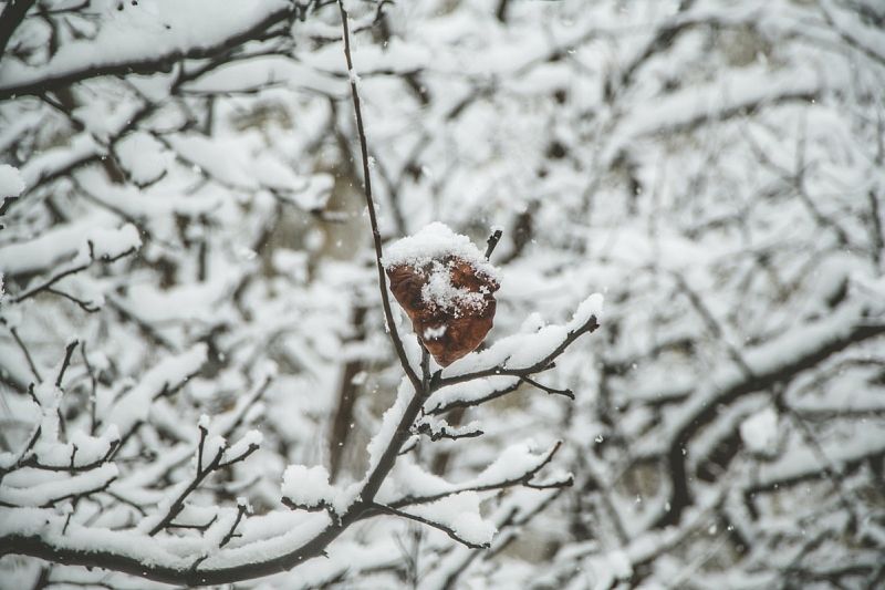 Опасная непогода задержится: мощные снегопады и ливни ожидаются в Краснодарском крае