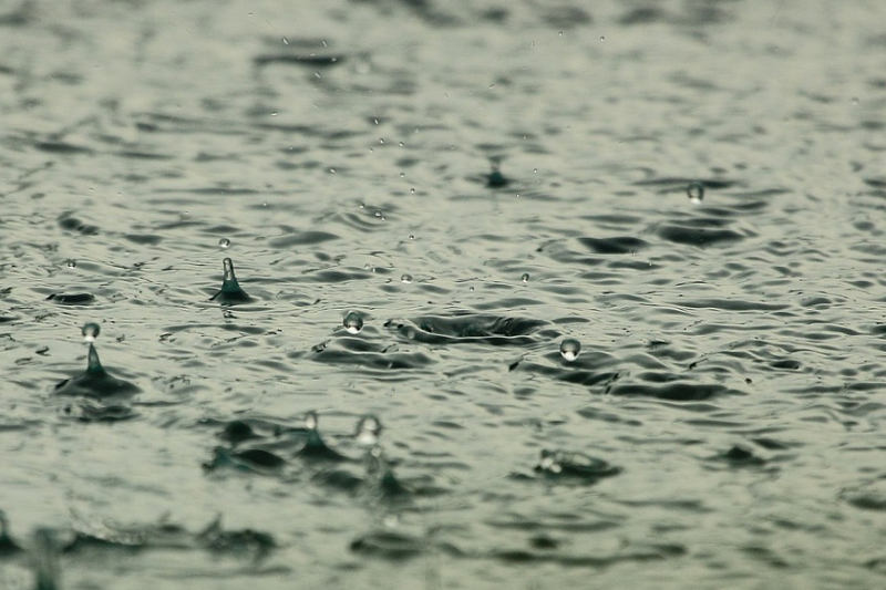Сильные дожди накроют Кубань 24 октября: больше половины месячной нормы осадков может выпасть в регионе за сутки