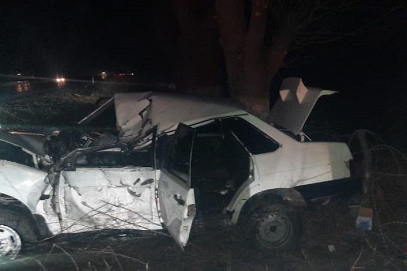 На Кубани ВАЗ на скорости смяло об дерево. 18-летний водитель в больнице