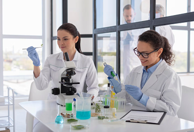 Российские учёные нашли способ быстро подбирать катализаторы и сенсоры из двумерного материала