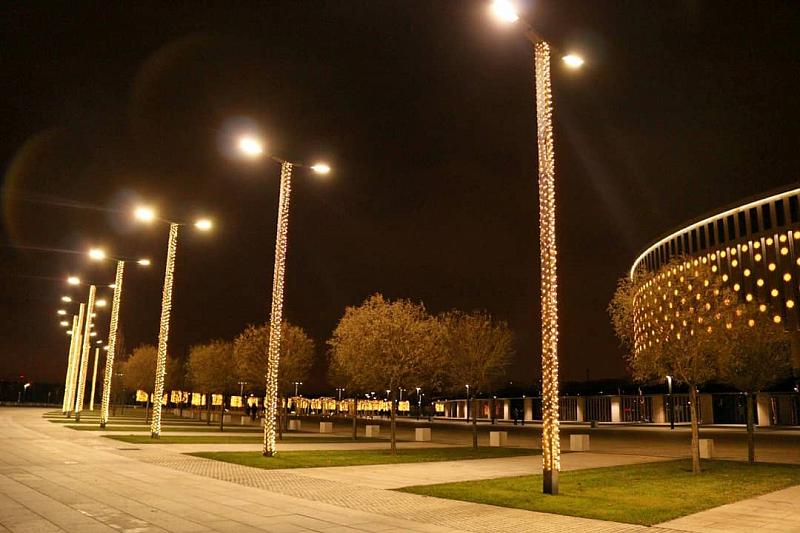 Светится на стадионе почти каждое дерево.