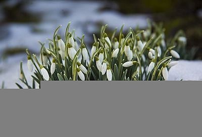 Народные приметы на сегодня – 2 апреля, что можно и нельзя делать в день Фотиньи Колодезницы