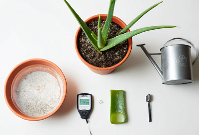 Алоэ дома капризничает? Я изменила 3 вещи — и оно ожило