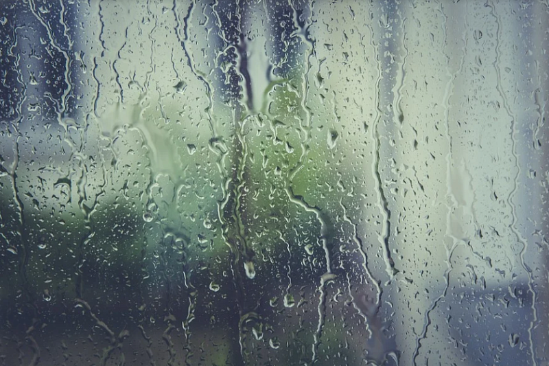 Дожди и похолодание: синоптики рассказали о погоде на Кубани в выходные