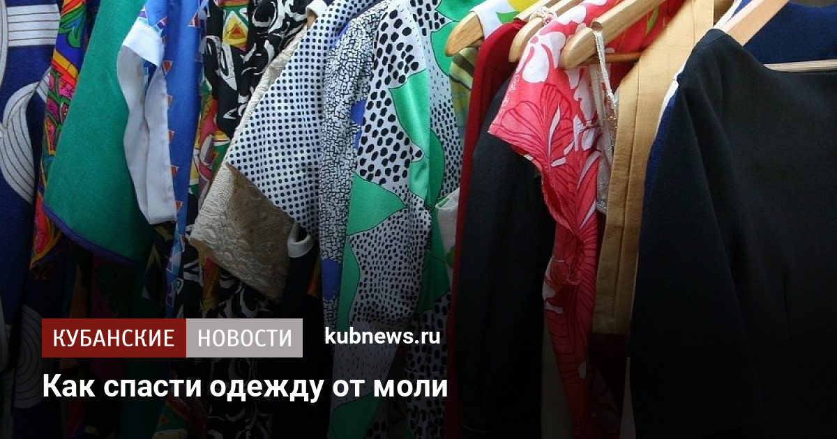 Личинки в одежде в шкафу