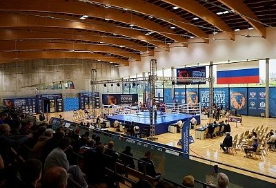 Боксеры из Краснодарского края завоевали четыре медали на первенстве России