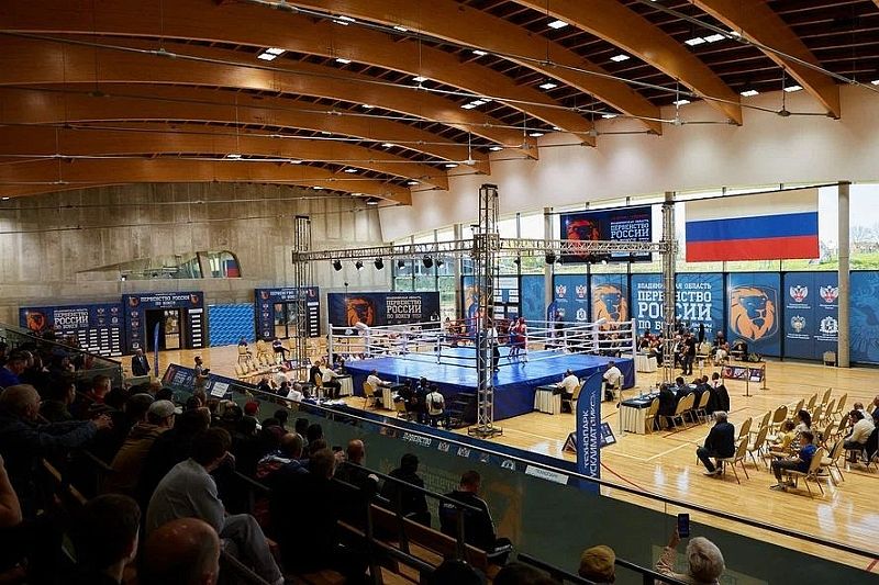 Боксеры из Краснодарского края завоевали четыре медали на первенстве России