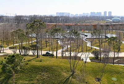 Еще несколько прогулочных аллей открыли в новой локации парка Галицкого в Краснодаре