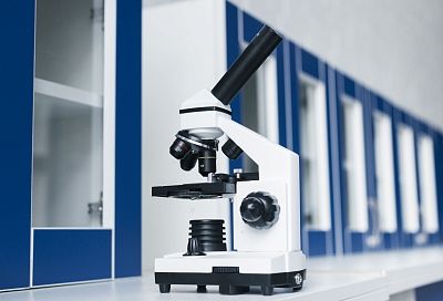 Российские ученые создали нейросеть, анализирующую состояние человека по работе мозга