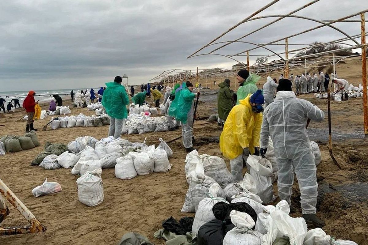 В расчистке береговой линии в Анапе приняли участие сотрудники краевого департамента строительства