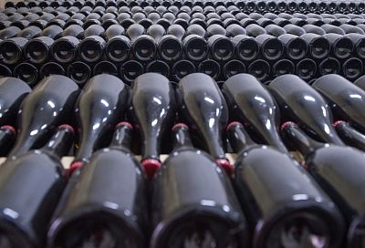 Краснодарский край демонстрирует наибольший региональный прирост средних зарплатных предложений в виноделии