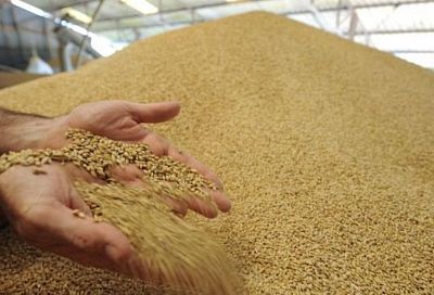 Комплекс для хранения зерновых культур и патоки начали строить в Ейском районе