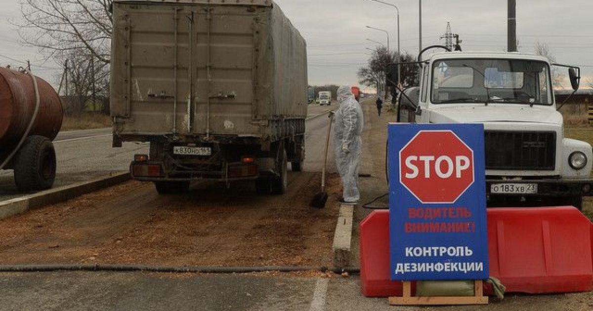 Крымские власти выплатят 12,5 млн рублей за уничтоженных из-за АЧС свиней