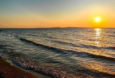 Популяция леща в Азовском море сократилась на 95% за последние 30 лет