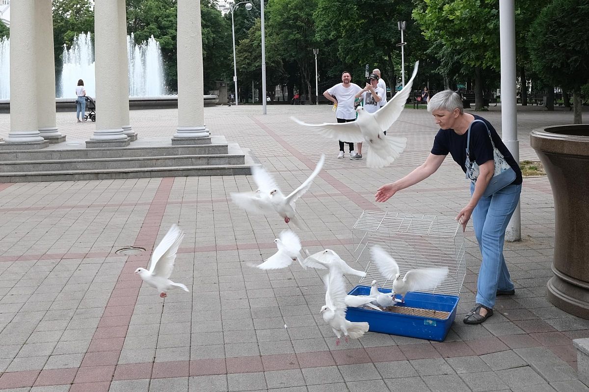 В краснодарском сквере им. Г.К. Жукова в знак приверженности миру юные кубанцы в небо выпустили белых голубей.