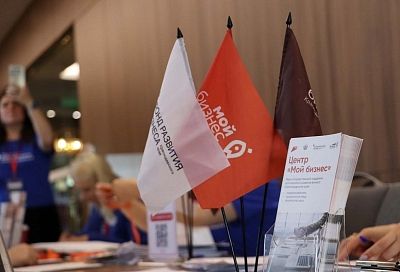 Региональные институты развития предпринимательства представят в Геленджике 