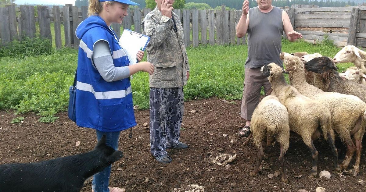 Всероссийские сельские. КФХ Краснодарского края. ЛПХ В Краснодарском крае. КФХ Краснодарского края экскурсия. Перепись сельскохозяйственных предприятий Краснодарского края.