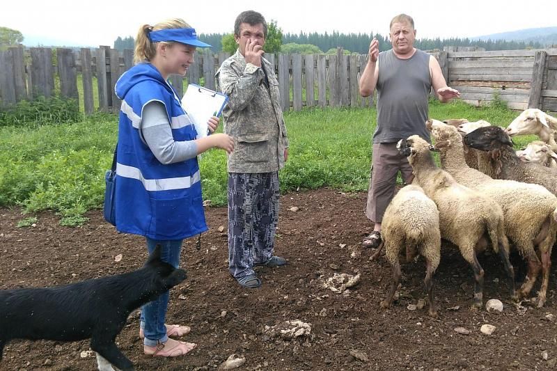 В Краснодарском крае подвели итоги Всероссийской сельскохозяйственной переписи 2016 года 
