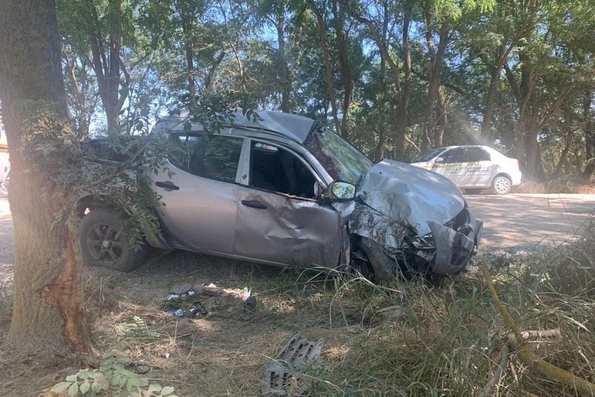 Водитель на Mitsubishi врезался в дерево в Темрюкском районе. Пострадали двое