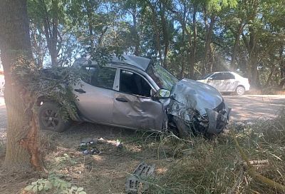 Водитель на Mitsubishi врезался в дерево в Темрюкском районе. Пострадали двое