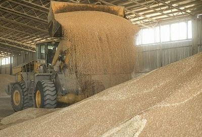 Краснодарский край собирается увеличить экспорт товаров АПК благодаря принятию закона о сельхозпродукции