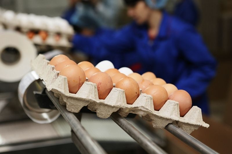 В Минсельхозе рассказали, как изменятся цены на яйца