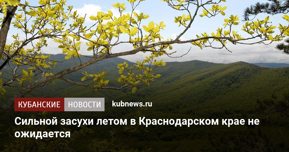 Сильной засухи летом в Краснодарском крае не ожидается - Кубанские новости