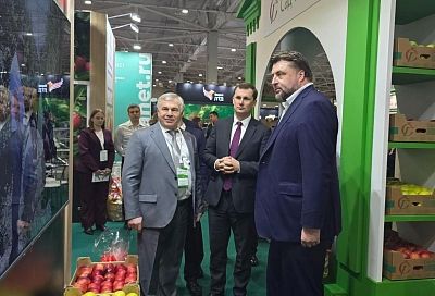 Специализированная выставка «Fruit Trade: Сады и Виноградники» заработала в Краснодаре