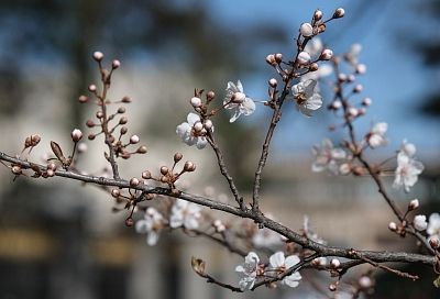 День весеннего равноденствия: когда произойдет астрономическая смена сезонов 
