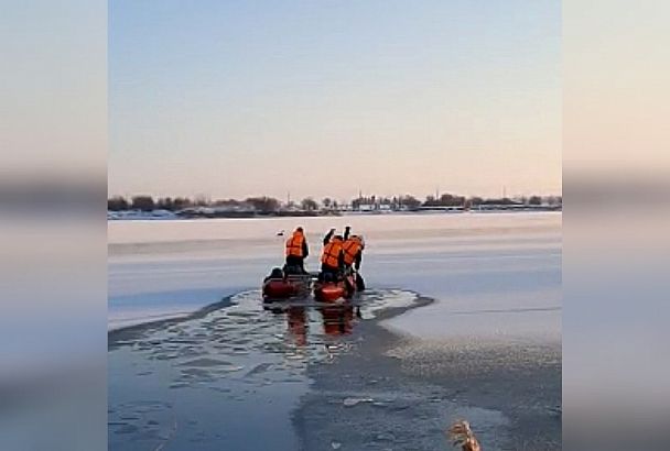 Спасатели освободили двух лебедей из ледяного плена