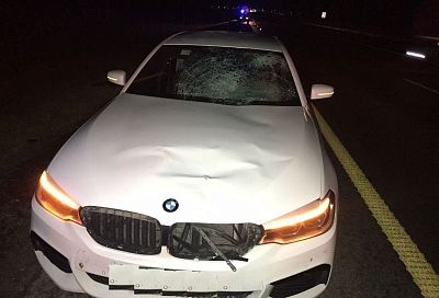 На Кубани BMW насмерть сбил стоящего на дороге мужчину