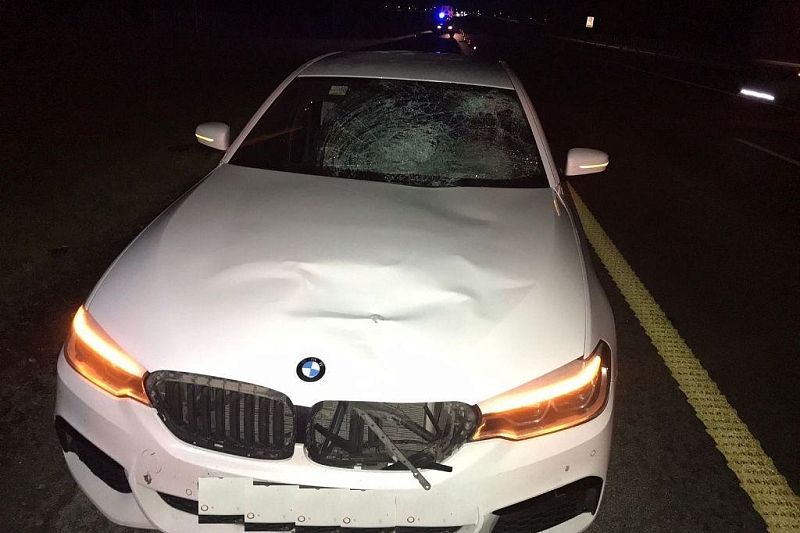 На Кубани BMW насмерть сбил стоящего на дороге мужчину