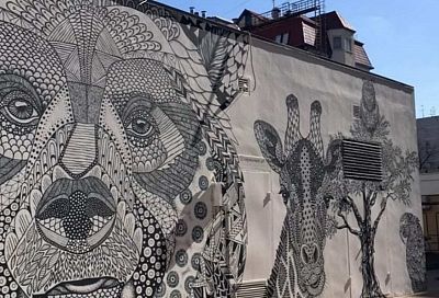 Уличный художник разрисовал граффити электроподстанцию в Краснодаре
