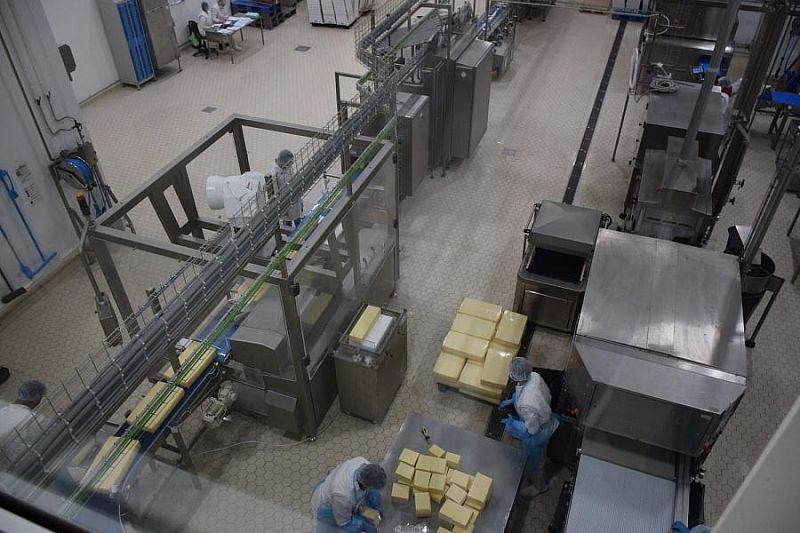 На сыродельном заводе Кубани подвели промежуточные итоги реализации нацпроекта «Производительность труда»