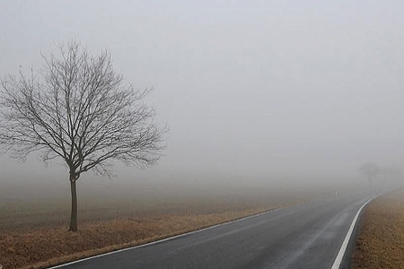 Госавтоинспекторы призывают водителей быть внимательнее в условиях тумана на дорогах