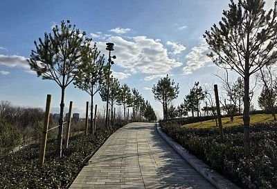 Новые прогулочные аллеи открылись в парке «Краснодар»