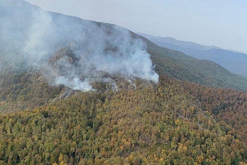 Более 100 человек привлекли к тушению лесного пожара