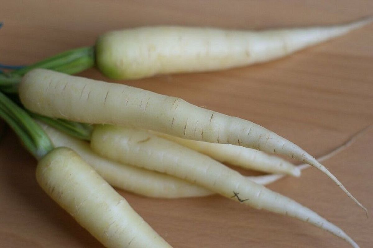 Едим дайкон до весны: как сохранить свежесть и вкус зимой