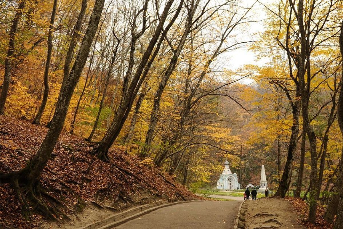 То что доктор прописал: главные направления оздоровительного туризма в Краснодарском крае 