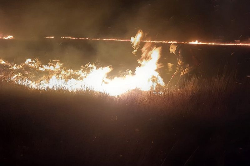 Сильный ветер осложняет тушение пожара в плавнях Краснодарского края