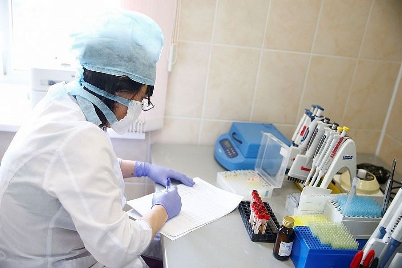 Больше всего положительных тестов на коронавирус получено в Краснодаре