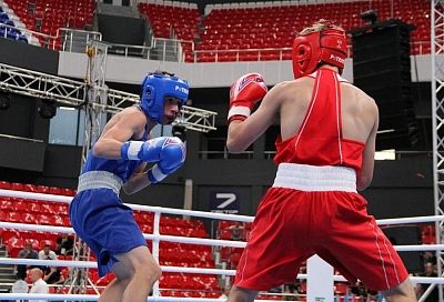 В Краснодаре пройдет финал международного турнира по боксу