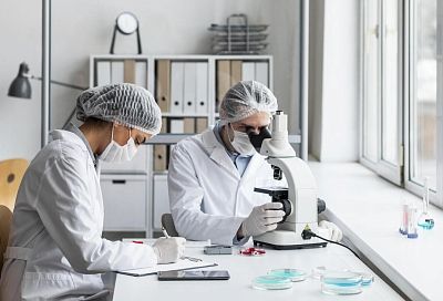 Российские учёные создали рекордно точные сенсоры на базе нанотрубок для полимерных композитов