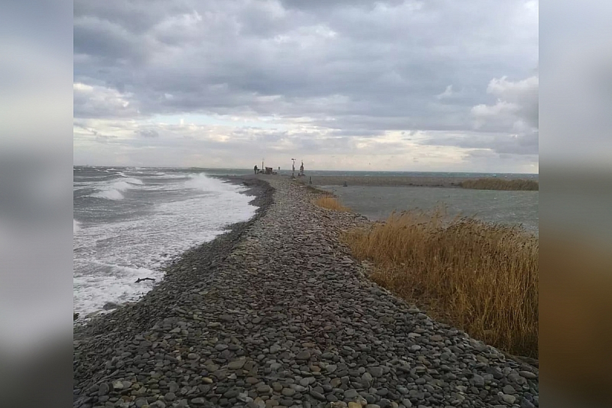 В Новороссийске общественники обратились к властям с просьбой спасти уникальный проран