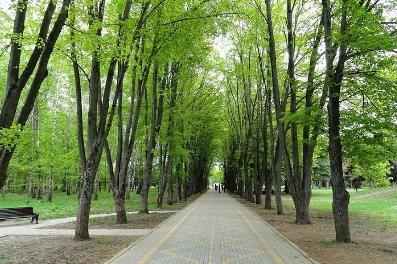 Жителей и гостей Краснодара приглашают на экскурсию по Ботаническому саду