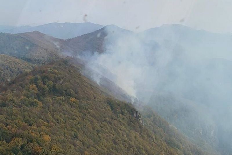 Площадь лесного пожара увеличилась до 17,5 га