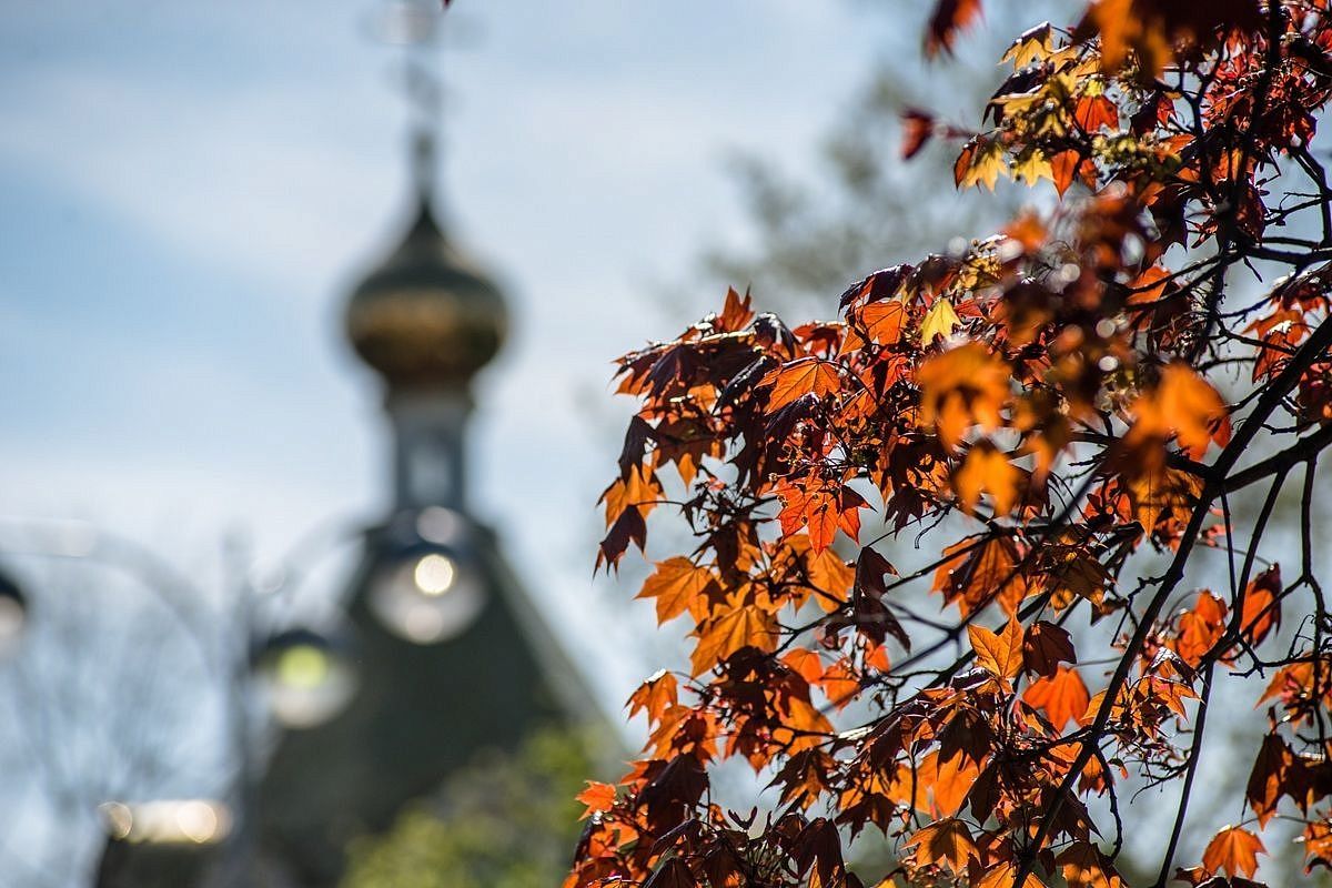 Еще теплее: до +24 градусов взлетит температура воздуха в Краснодарском крае