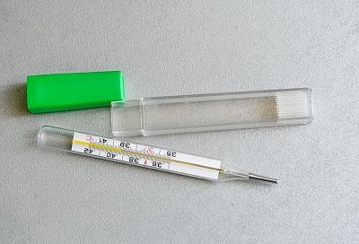 Известно число заболевших гриппом в Краснодарском крае за неделю