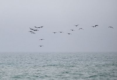 Два беспилотника уничтожили над Азовским морем